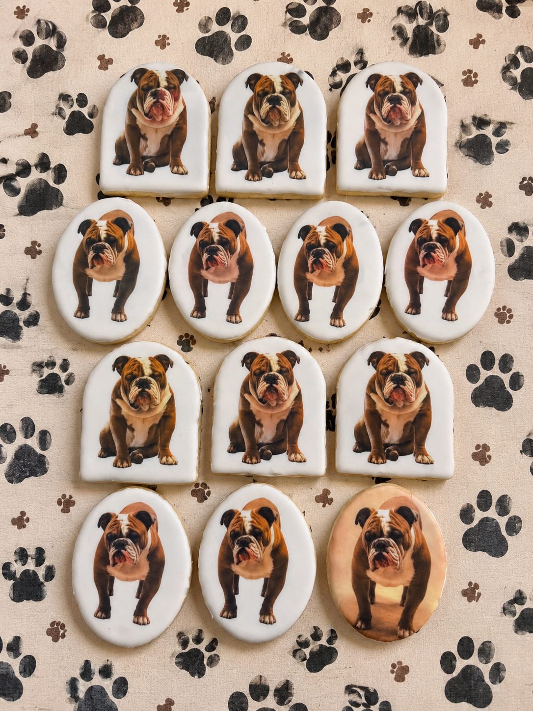 Custom cookies printed with bulldog portraits on paw print fabric